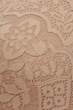 Bellissima Lace Push-up Bra