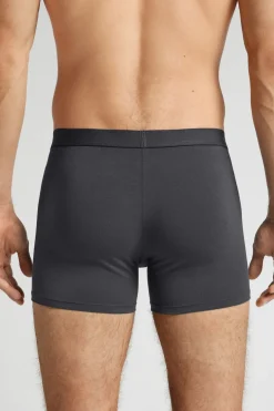 Cotton Boxers with Exposed Elastic
