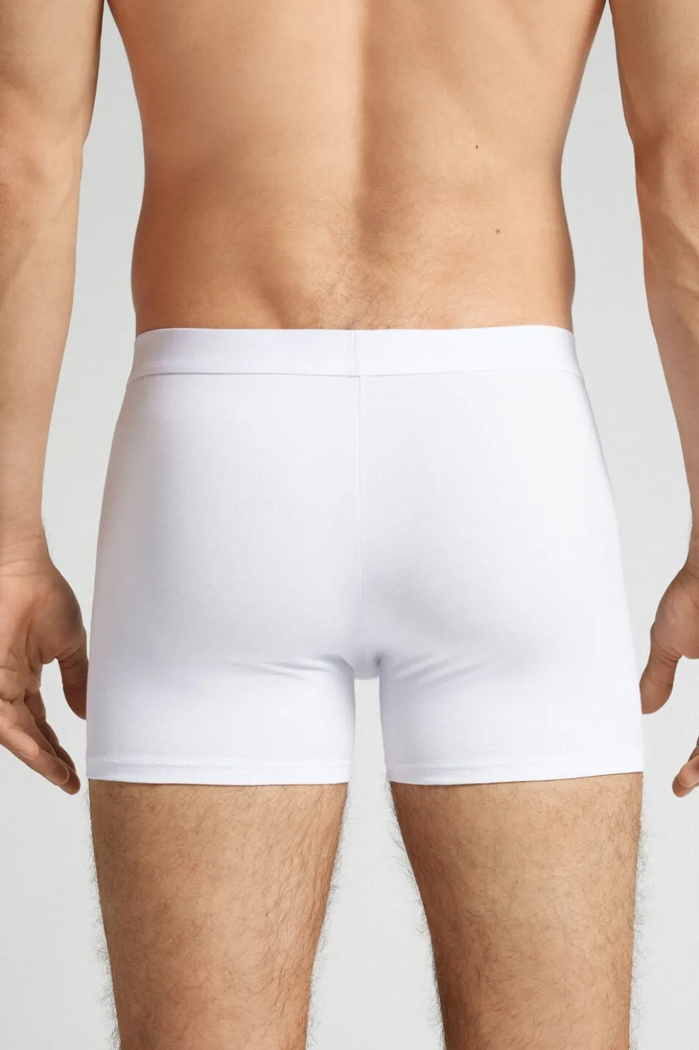 Cotton Boxers with Exposed Elastic