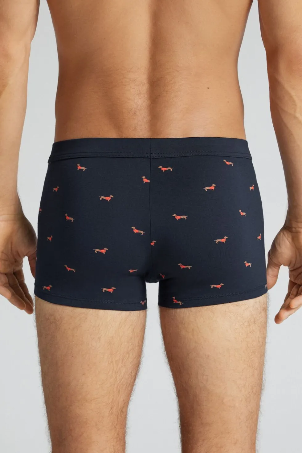 Dachshund Print Superior Cotton Boxers