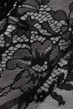 Elegance Embodied Lace Robe