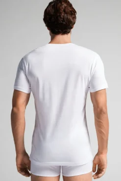 Extrafine Superior Cotton V-Neck T-Shirt