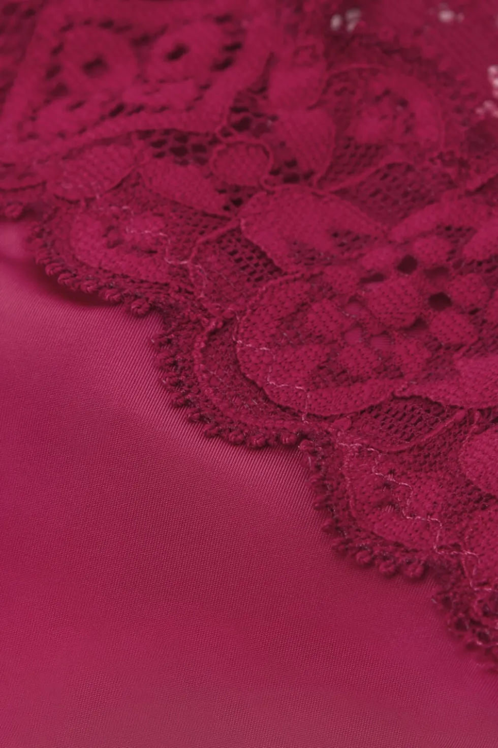 Lace and Microfiber ‘80s Style Brazilian