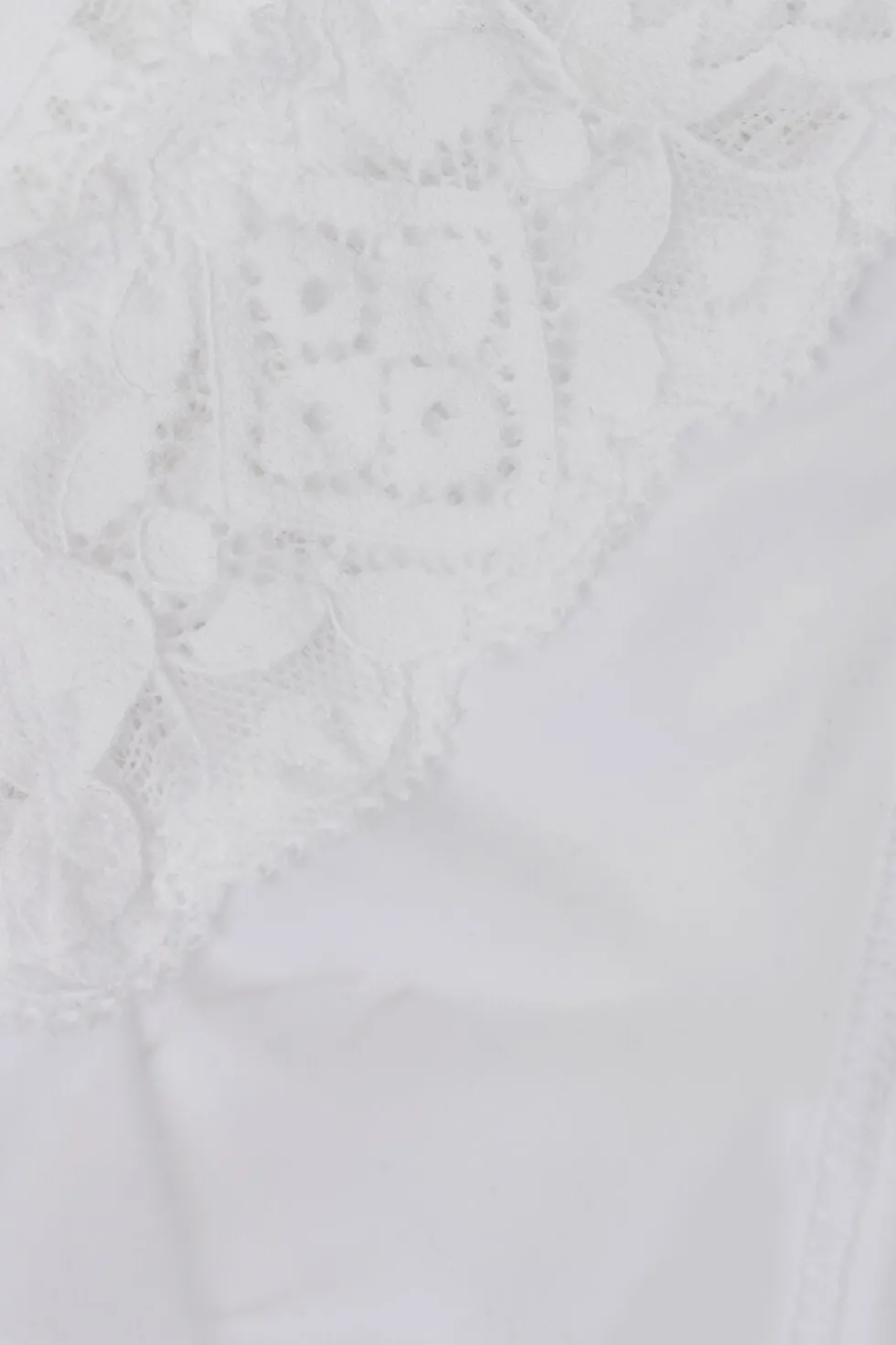 Lace and Microfiber ‘80s Style Brazilian