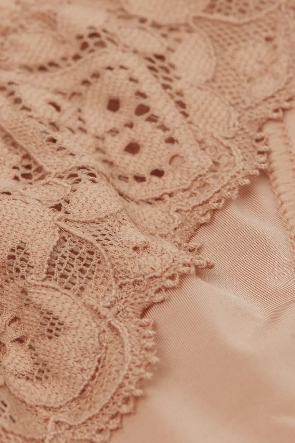 Lace and Microfiber ‘80s Style Brazilian
