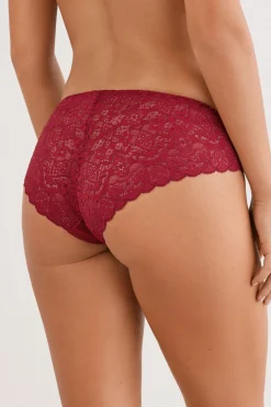 Lace and Silk Bikini Briefs