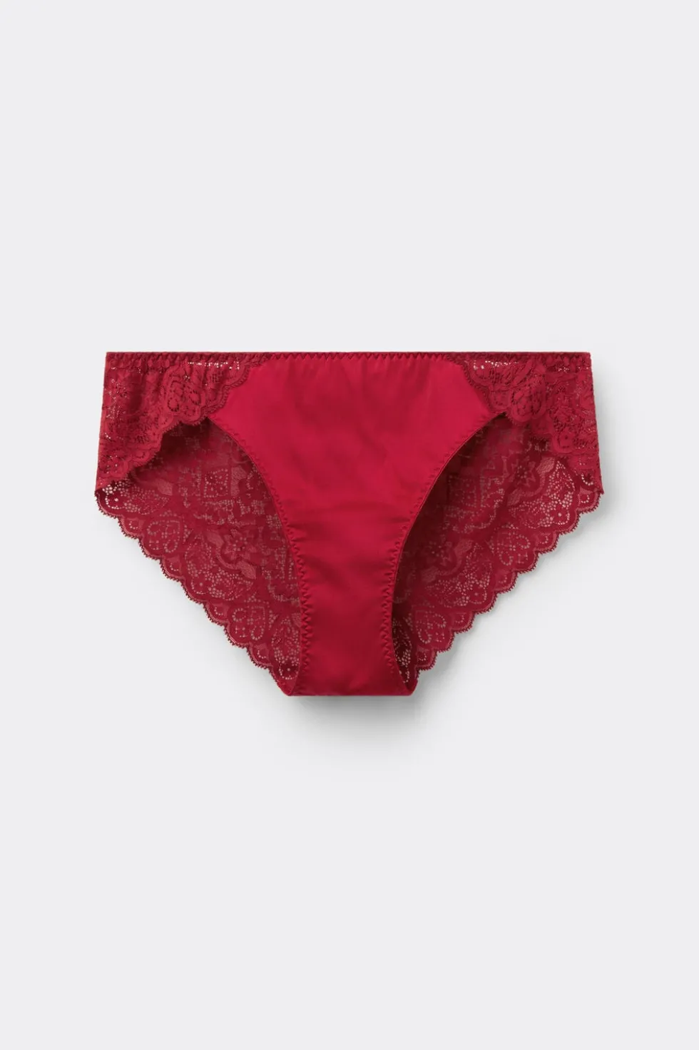 Lace and Silk Bikini Briefs