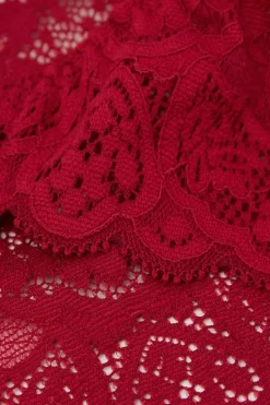 Lace and Silk Bikini Briefs