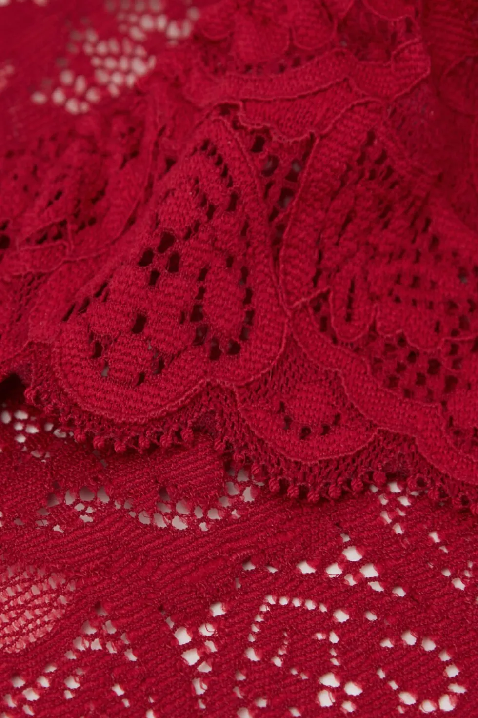 Lace and Silk Bikini Briefs
