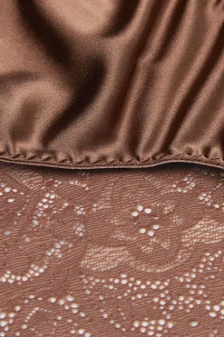 Lace and Silk Bikini Briefs