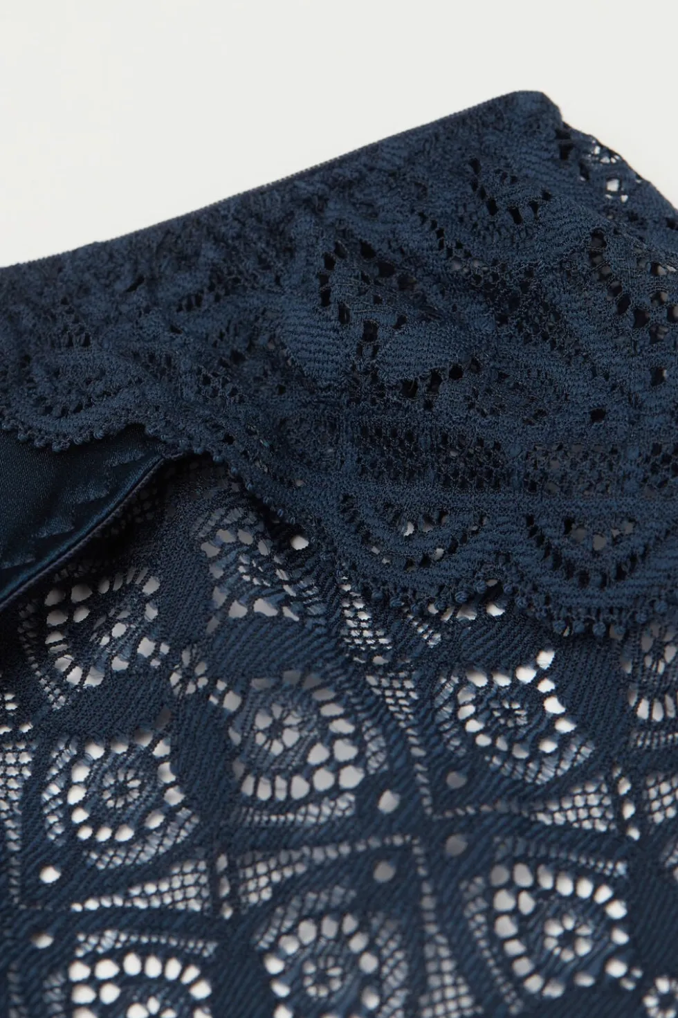 Lace and Silk Bikini Briefs
