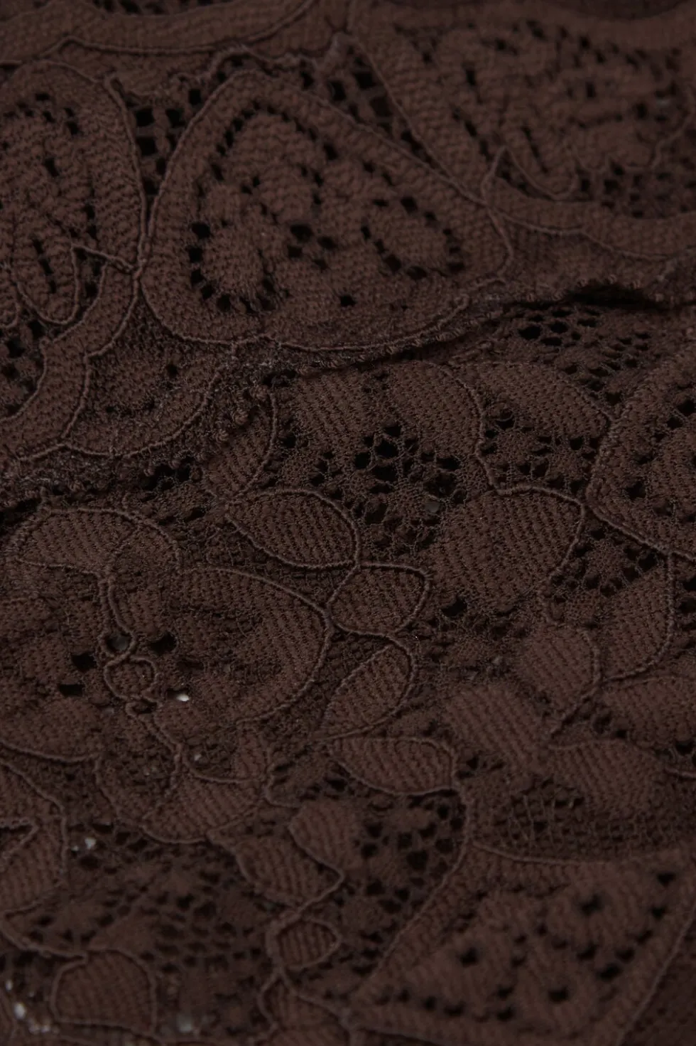 Lace Brazilian