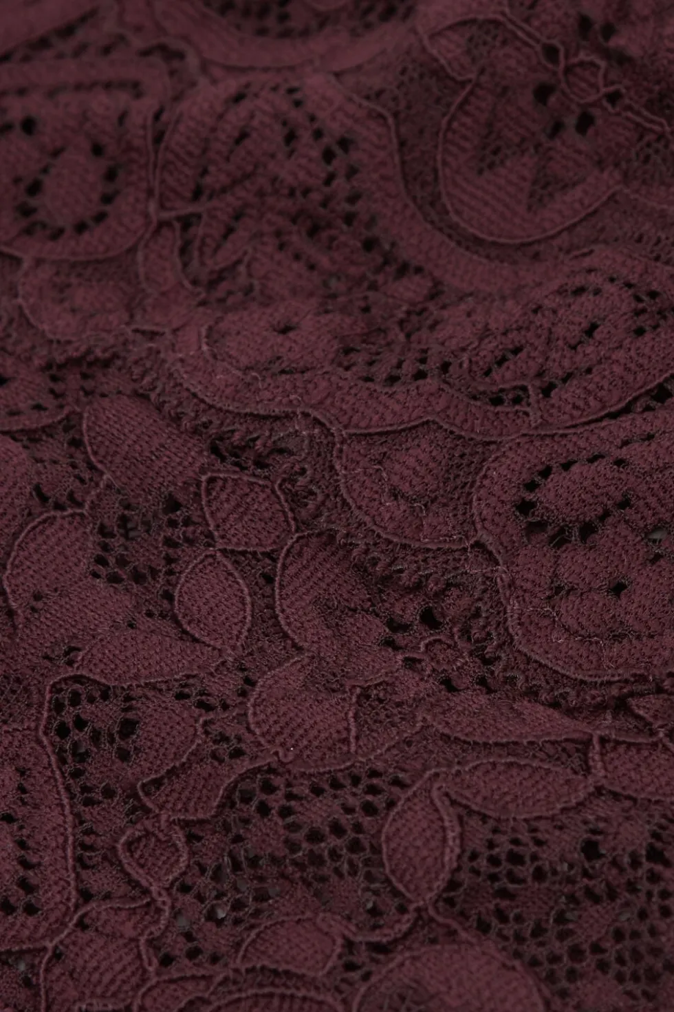 Lace Brazilian