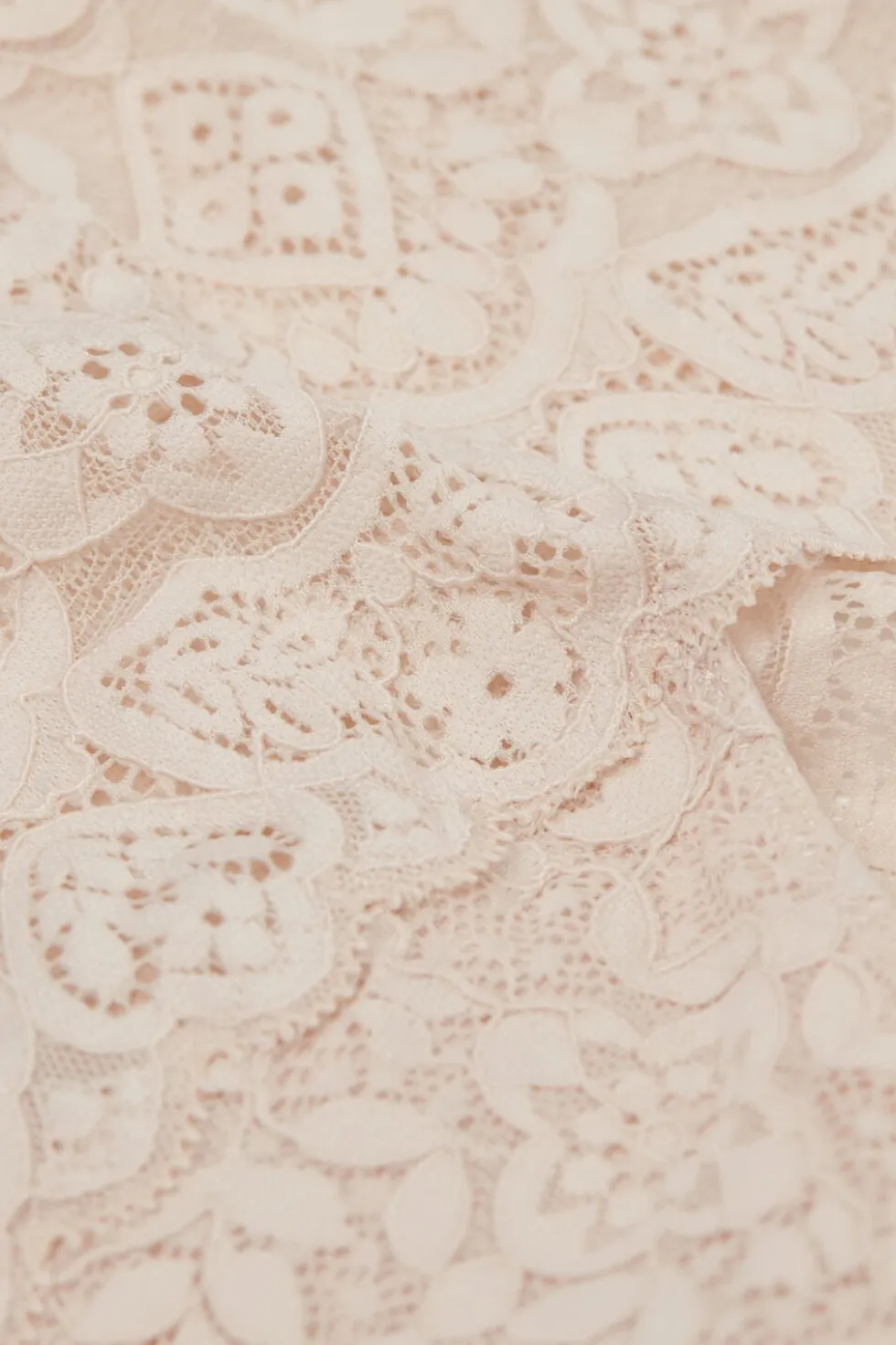 Lace Hipster