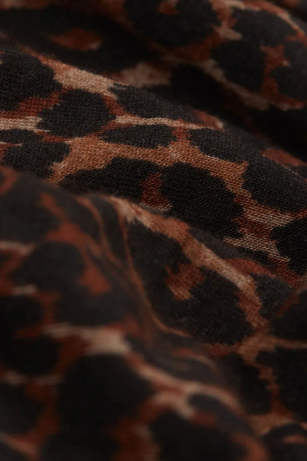 Leopard Print Long Sleeve Top in Ultralight Modal with Cashmere