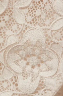 Low Rise Lace Panties