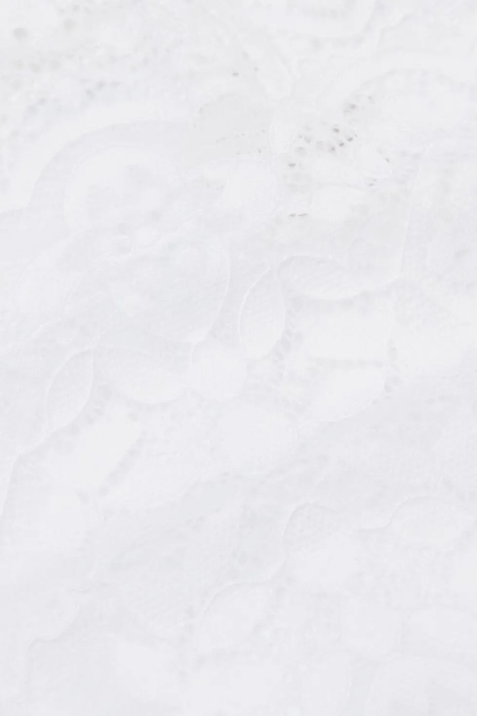 Microfiber Lace Brazilian