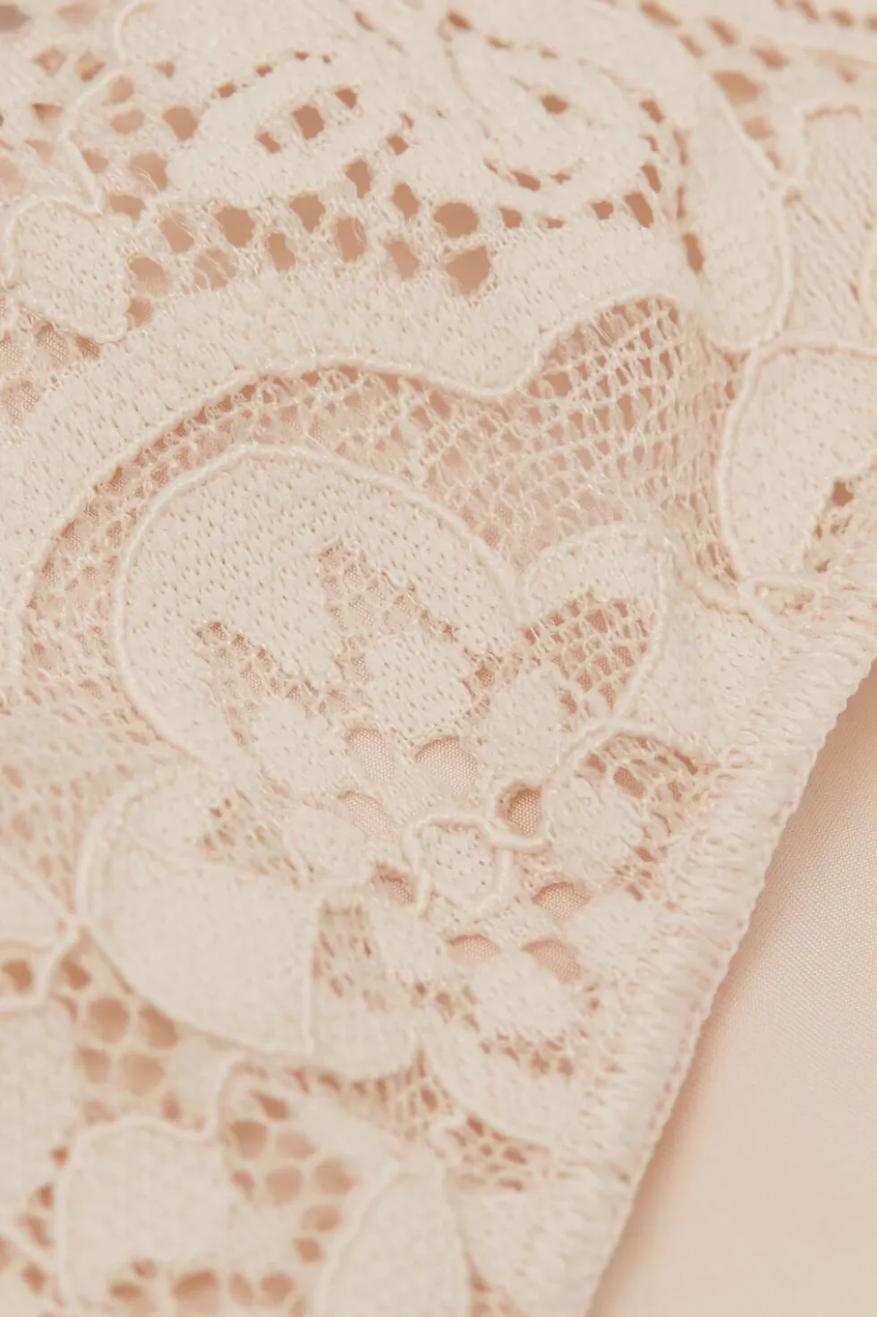 Microfiber Lace Brazilian