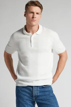 Polo in 100% Cotton