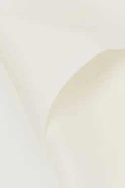 Seamless Microfiber Panties