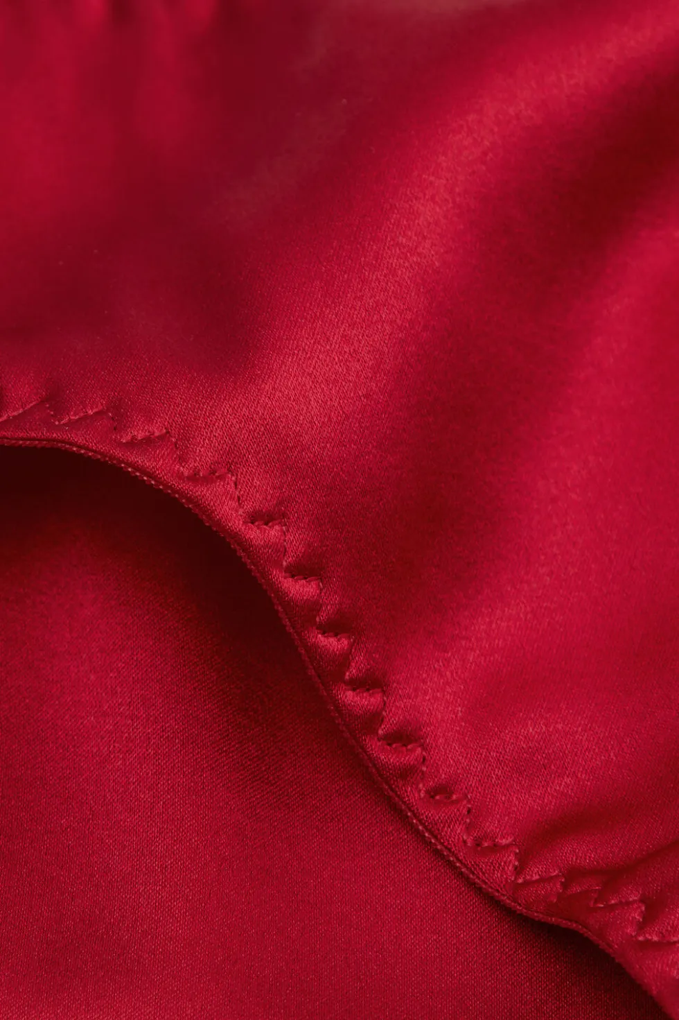 Silk Brazilian Panties