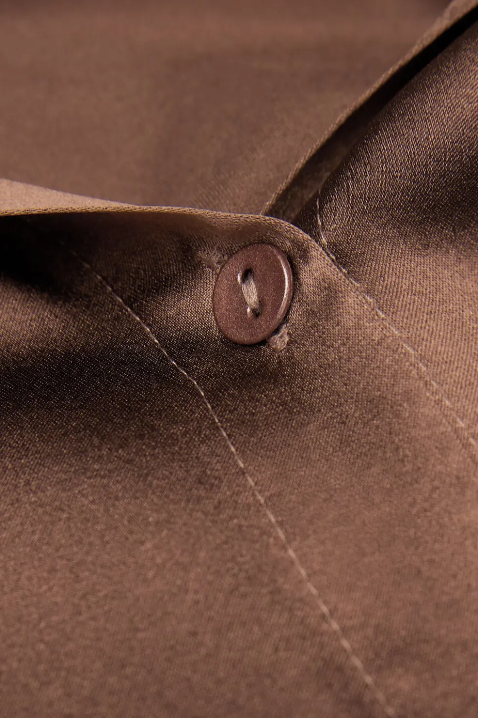 Silk Shirt
