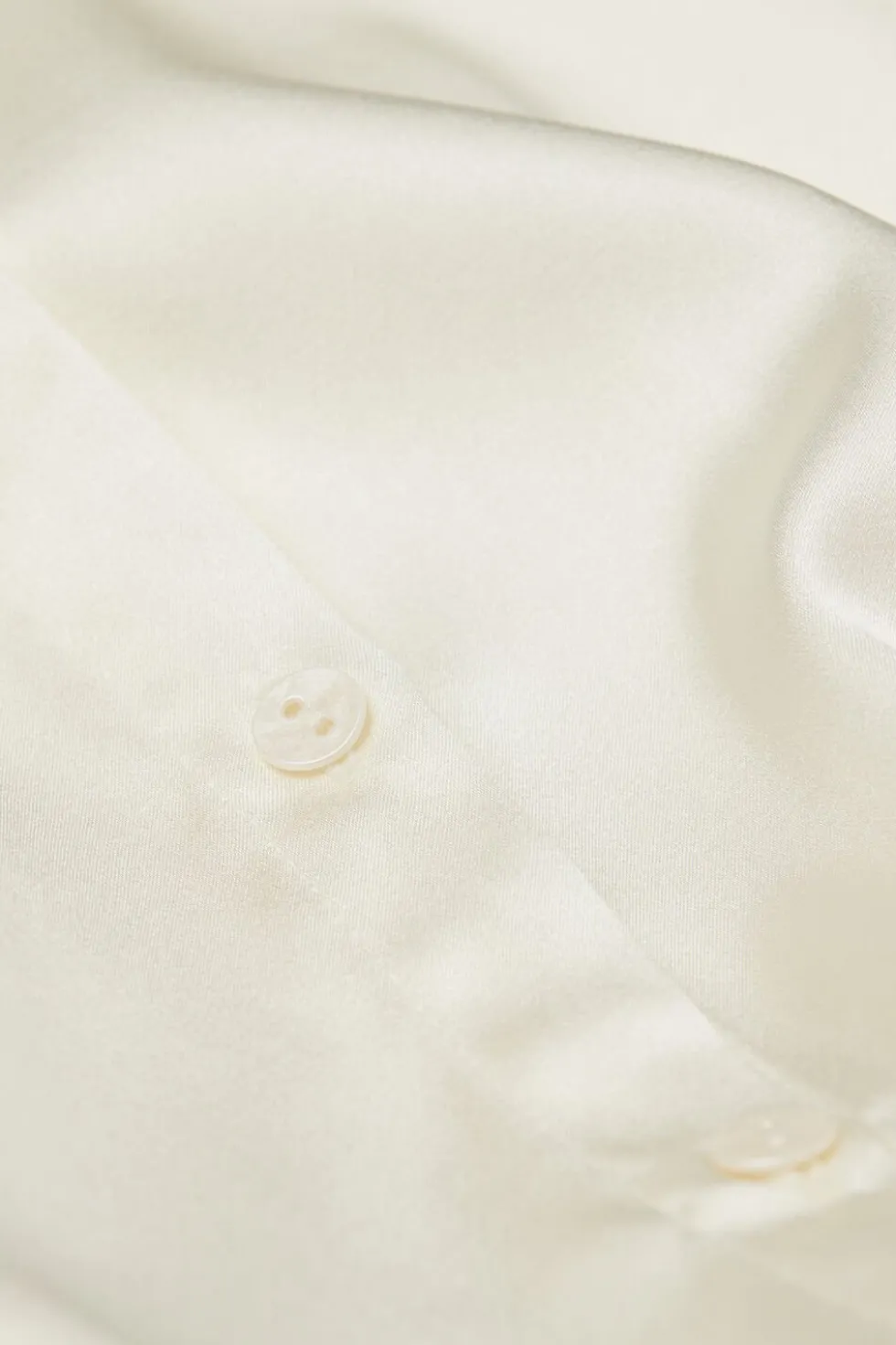 Silk Shirt