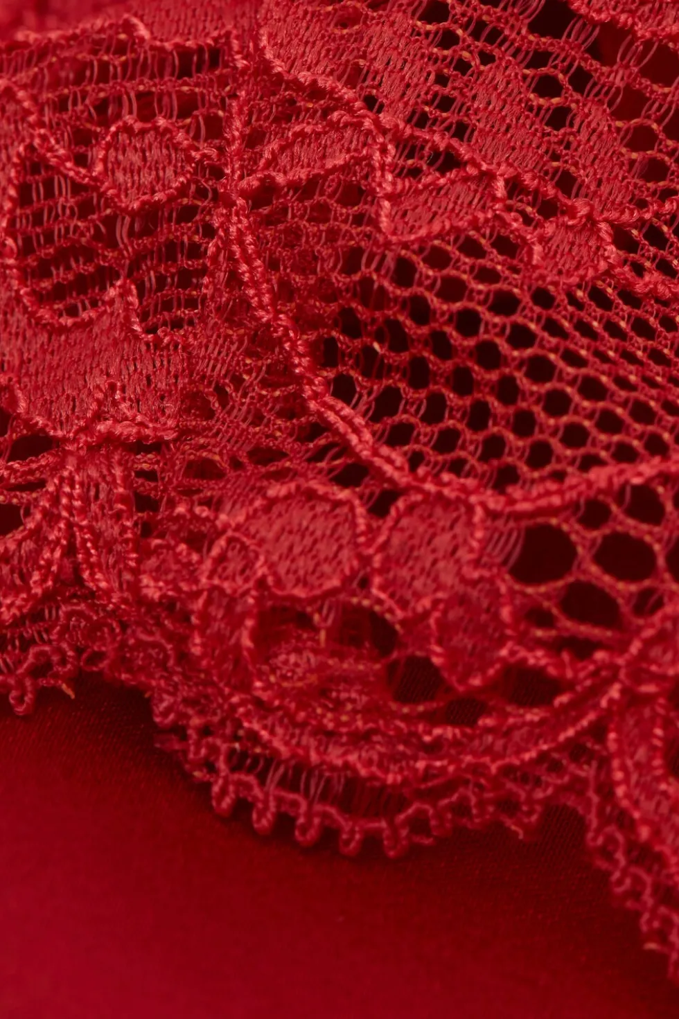 Silk Slip with Lace Insert Detail