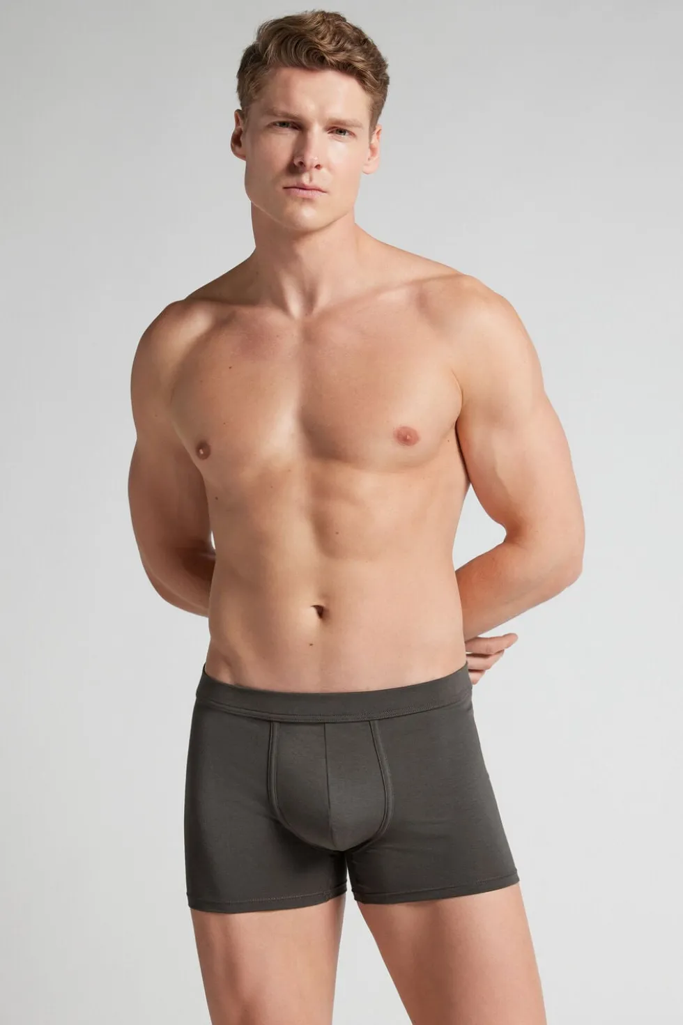 Superior Cotton Boxers