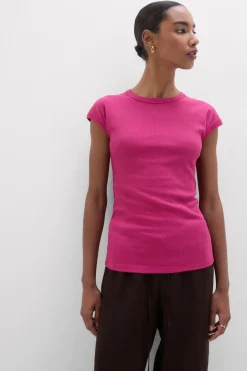Superior Cotton Ribbed Short Sleeve Top