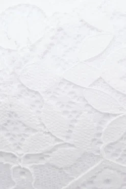 Tiziana Lace Triangle Bra